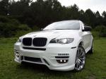 BMW X6 by Status Design 2010 года